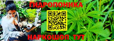 эйфоретик Кулебаки